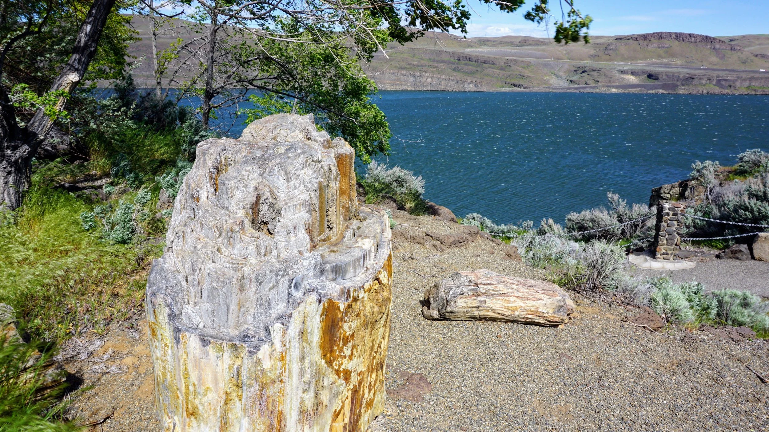A Trip Through History At Ginkgo Petrified Forest State Park